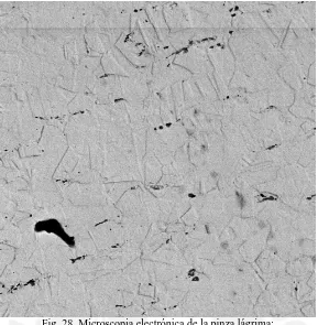 Fig. 28. Microscopia electrónica de la pinza lágrima: Solución sólida de Ag. Evidencia de maclas de recocido y granos 