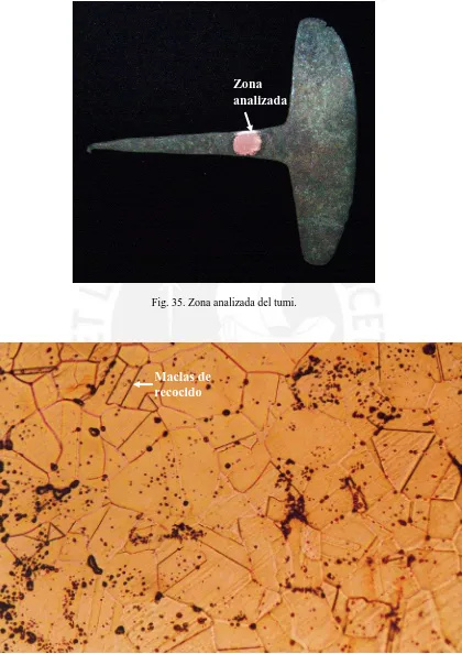 Fig. 36. Microscopia óptica: Solución sólida de Cu. Evidencia de maclas de recocido y granos poligonales