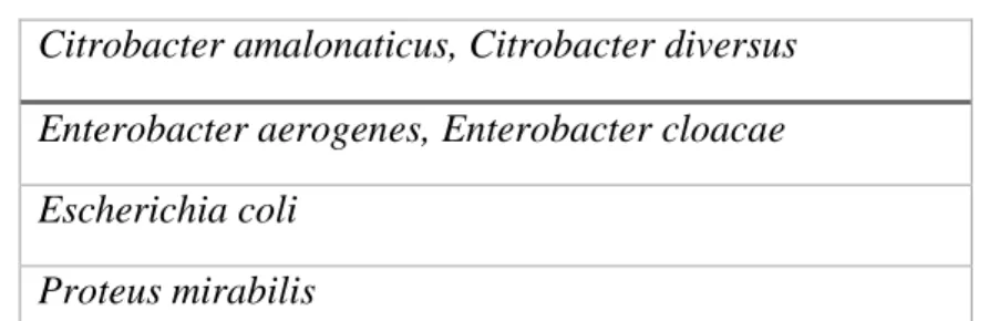 Tabla N° 1: Enterobacterias frecuentes con significado clínica  Citrobacter amalonaticus, Citrobacter diversus 