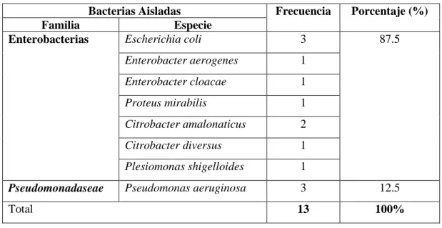 Tabla N°6: Bacterias patógenas aisladas en las aguas de regadío del Rio Guano  