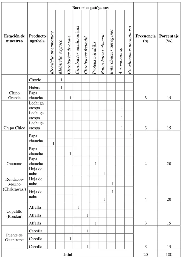 Tabla  N°  3.  Distribución  bacteriana  según  la  estación  de  muestreo  y  el  tipo  de  muestra  agrícola