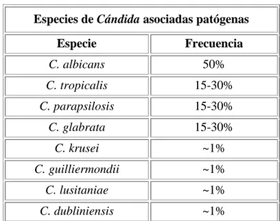 Figura  2. Frecuencia de especies de Cándida patógenas 