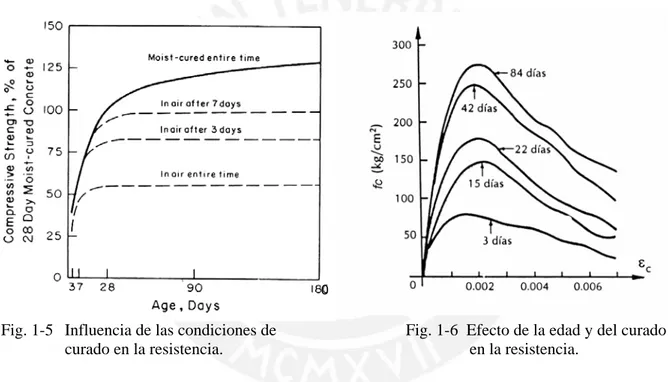Fig. 1-5  Influencia de las condiciones de  curado en la resistencia. 