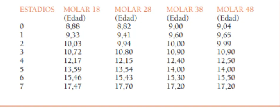 Tabla Nro. 1. Edad promedio en años para cada estadio de maduración de cada uno de  los terceros molares