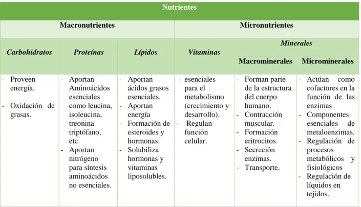 Tabla 3 Nutrientes  Nutrientes 