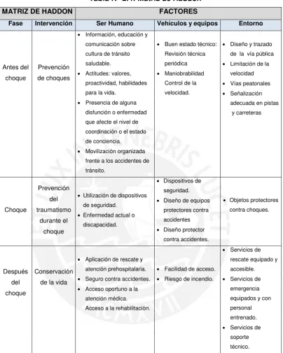 Tabla N° 2.4: Matriz de Haddon 