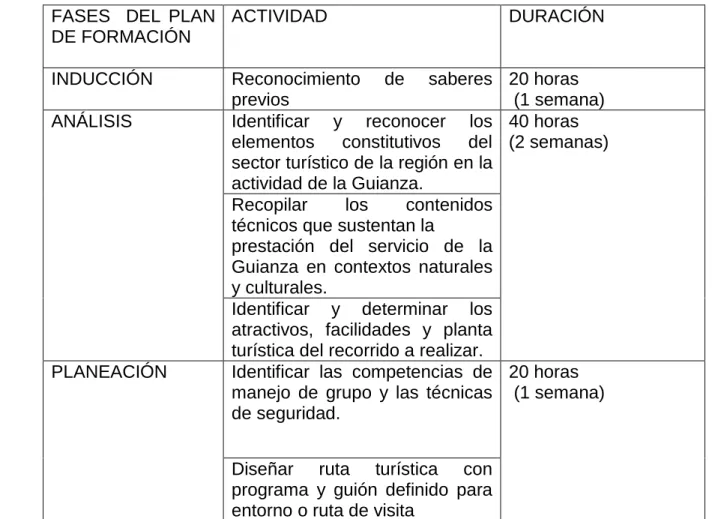 Tabla N° 3.  Plan de formación  FASES    DEL  PLAN 