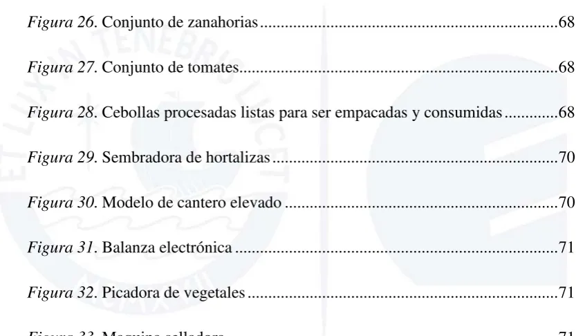 Figura 33. Maquina selladora ...............................................................................