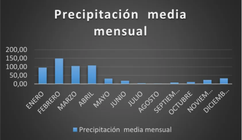 Ilustración 22 Precipitación. 