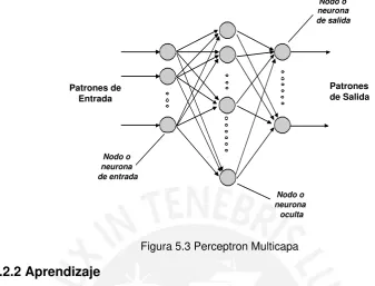 Figura 5.3 Perceptron Multicapa 