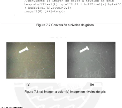 Figura 7.7 Conversión a niveles de grises 
