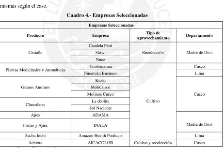 Cuadro 4.- Empresas Seleccionadas 