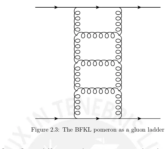 Figure 2.3: The BFKL pomeron as a gluon ladder