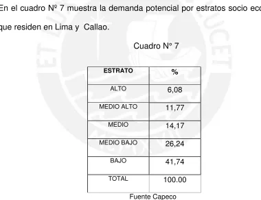 Cuadro N° 7 