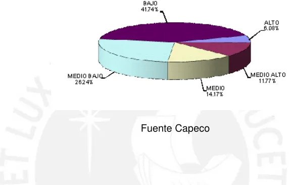 CUADRO Nº 8 