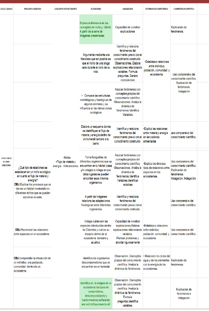 Tabla 5 Malla de contenidos Ciclo Cinco 