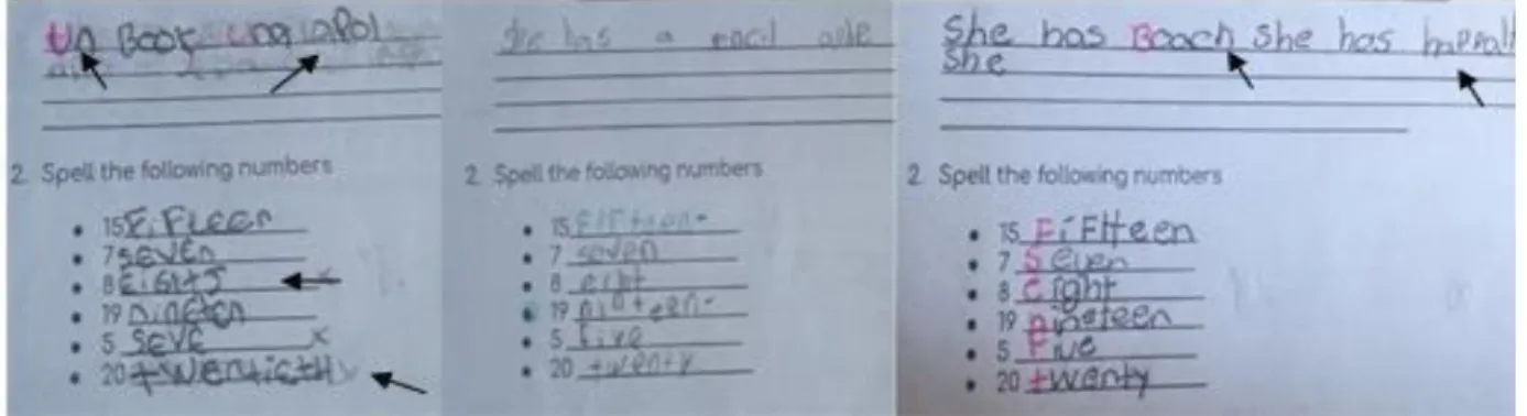 Figure 1. Examples from the diagnostic test  