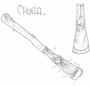 Ilustración No.1 Chuela 