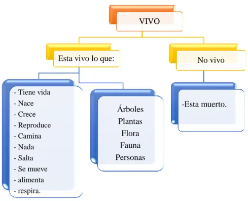 Figura 2. Categorización de la concepción de lo vivo, en los niños de la comunidad de  Sutatenza (centro)