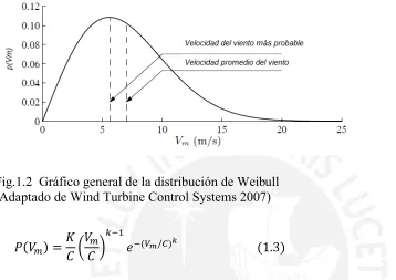 Fig.1.2  Gráfico general de la distribución de Weibull 