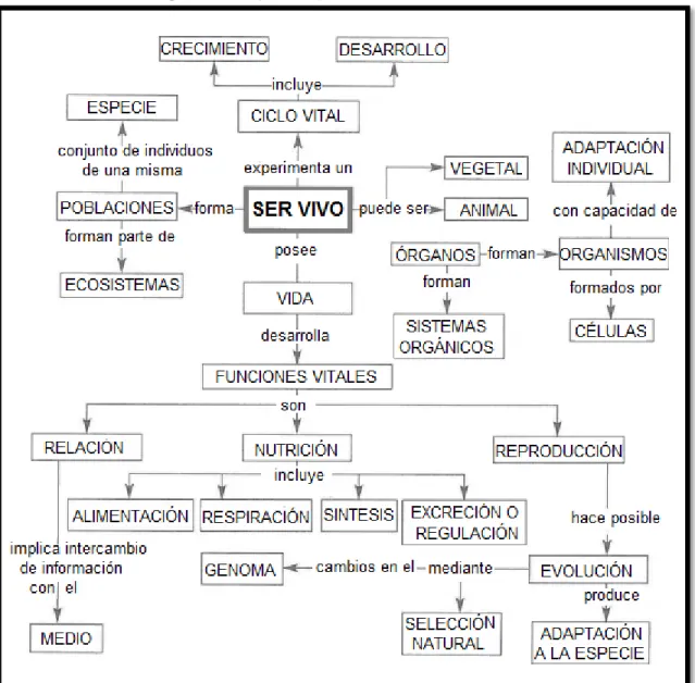 Figura 4. Propuesta para estudiar los seres vivos 