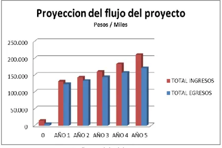 Tabla 20: Análisis financiero. 