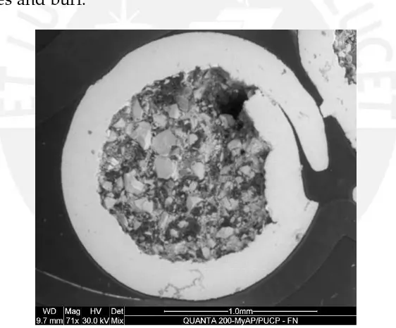 Figure 4.1: Cross section of the wire - SEM analysis