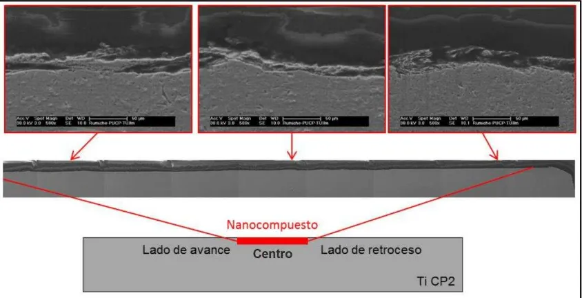 Figura 13. Esquema e imágenes de microscopía electrónica de barrido correspondientes a la sección transversal de la muestra C3