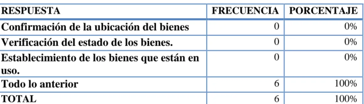 Tabla 4. Actividades de la constatación 