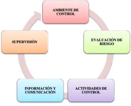 Ilustración 2: Componentes del Control Interno 