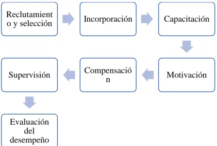 Gráfico 4. Pasos de la Administración de Fuerza de Ventas 