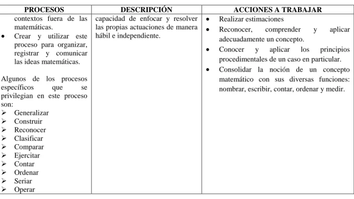Tabla 10. Descripción de los procesos generales en matemáticas. 