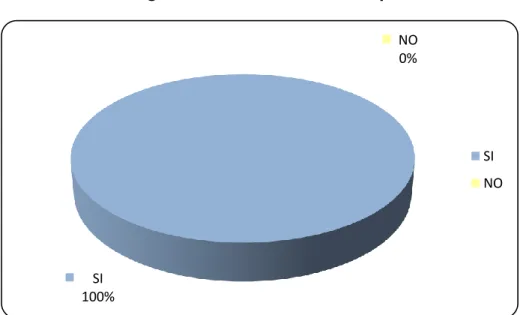 Gráfico Nº 6 