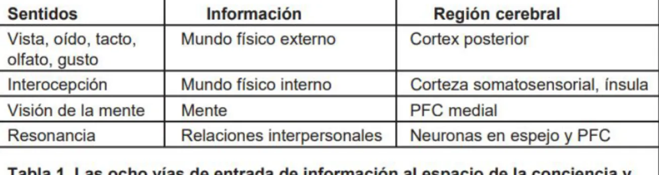 Tabla 4. Vías de información sensorial. 