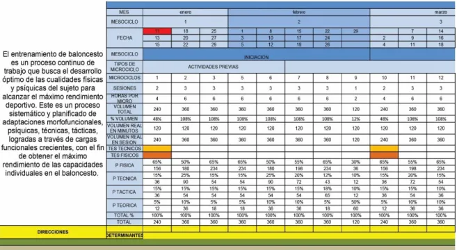 Figura 6. Plan de entrenamiento de pliometría, programa pliométrico 