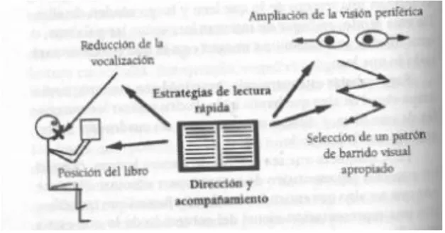 Figura 10  Pasos de la estrategia de comprensión visual 14