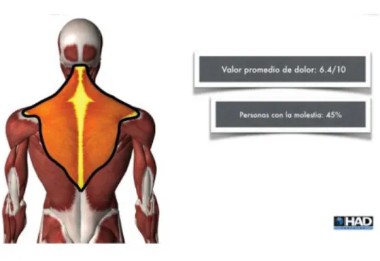 Ilustración 2. Valor Promedio de dolor 