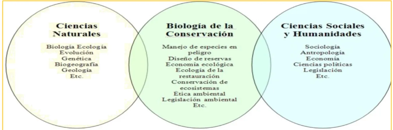 Figura 2. Multidisciplinaria de la Biología de la Conservación, multiples disciplinas que  convergen en  la construcción y desarrollo de la misma