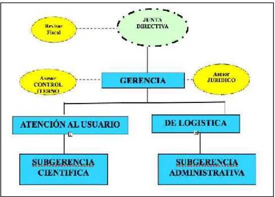 Figura 2. Estructura Orgánica y de Dirección.