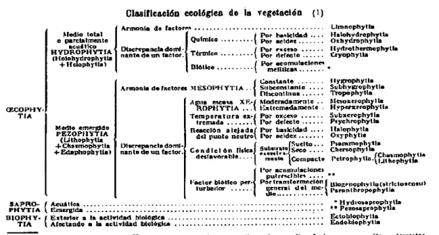 Ilustración 5 Reproducción de la “clasificación ecológica de la vegetación” en Villar 