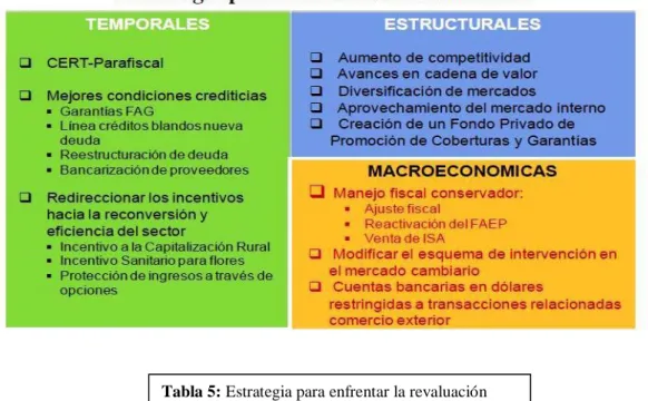 Tabla 5: Estrategia para enfrentar la revaluación 