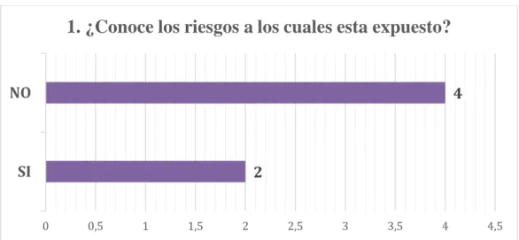 Ilustración 3 – Riesgos 
