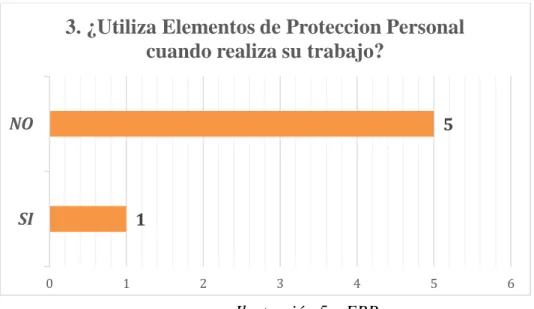 Ilustración 5 – EPP 