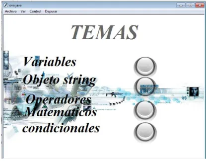 Figura N°3 Acceso a la plataforma    