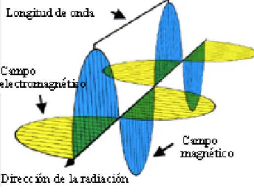 Figura 6 Longitud de onda  