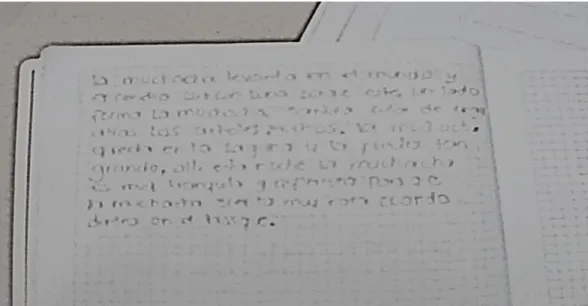 Figura 14. Evidencia escritural del Estudiante2 (complemento). 