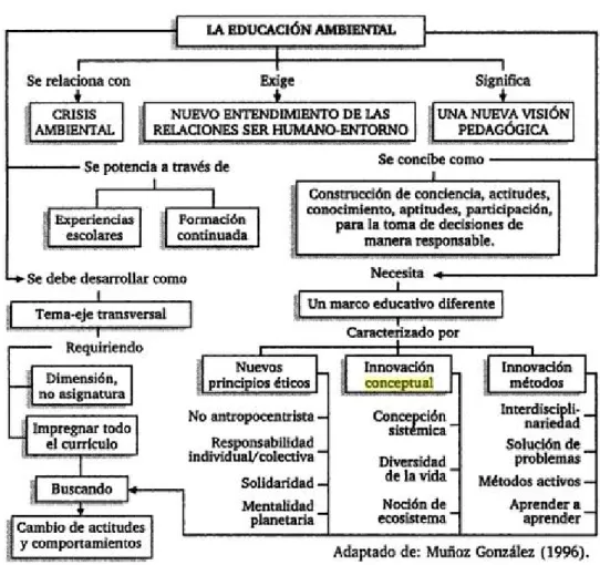 Figura  3. La educación ambiental 