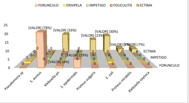 Gráfico 2: Tipos de Infecciones Cutáneas y Principales Microorganismos Causantes. 