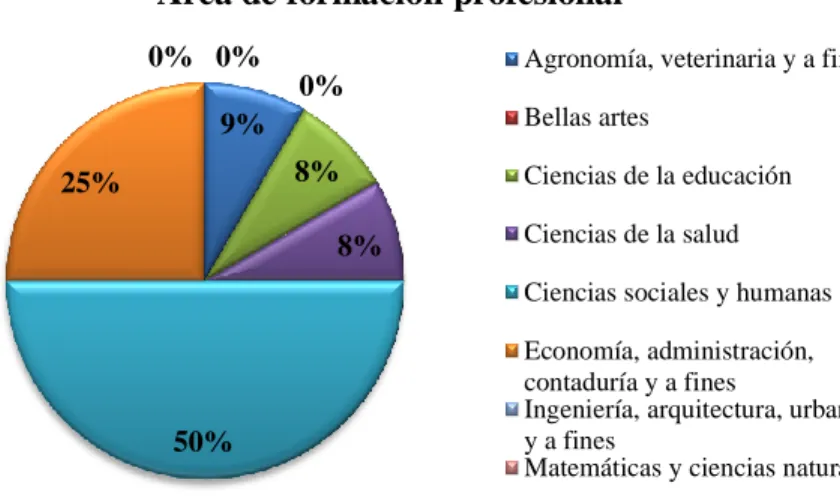 Gráfico 4. Participación de profesores por área de conocimiento.  