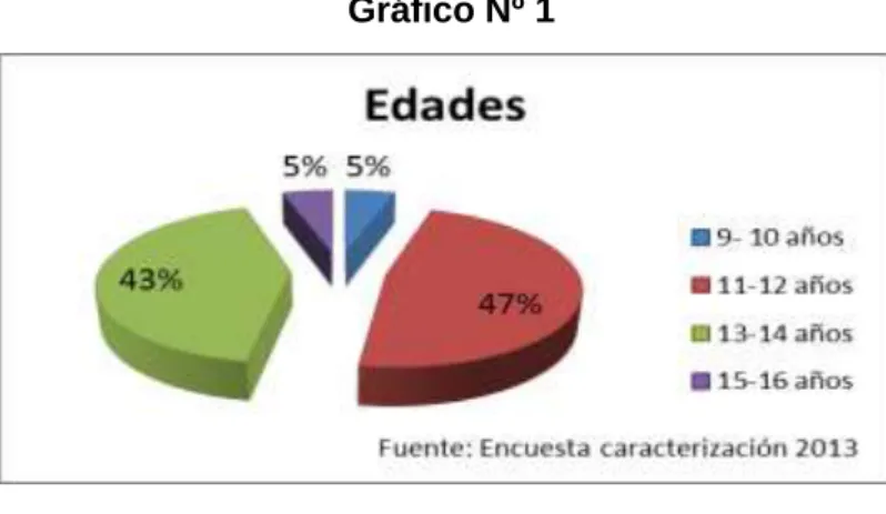Gráfico Nº 1 